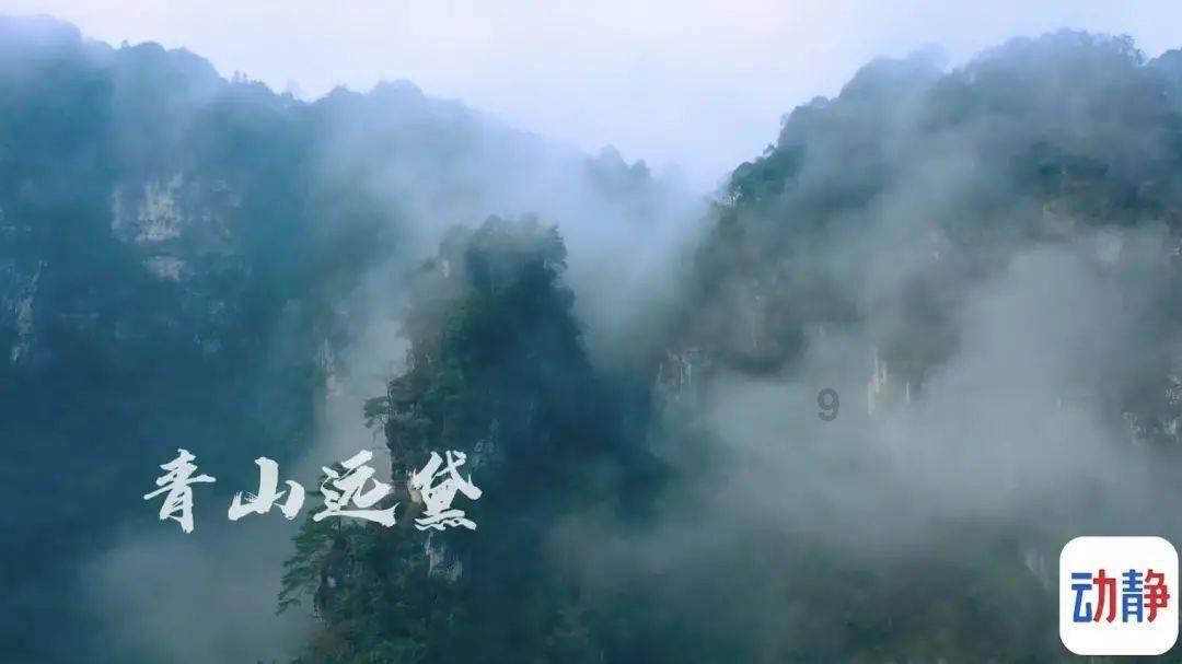 HAWE哈威GS2-1G24-PYD截止换向阀