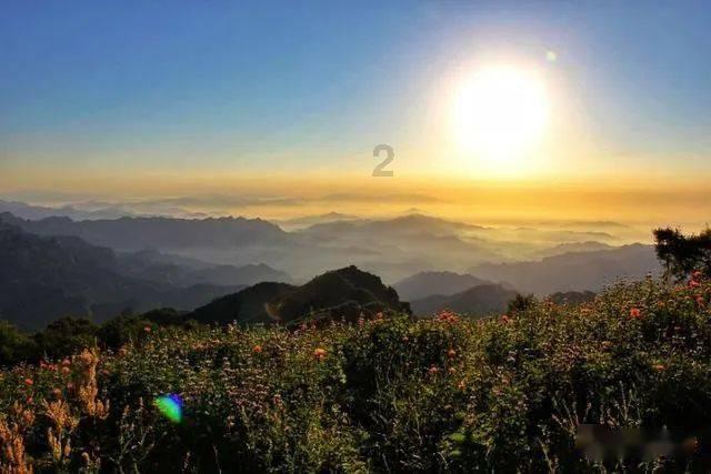 极限巅峰