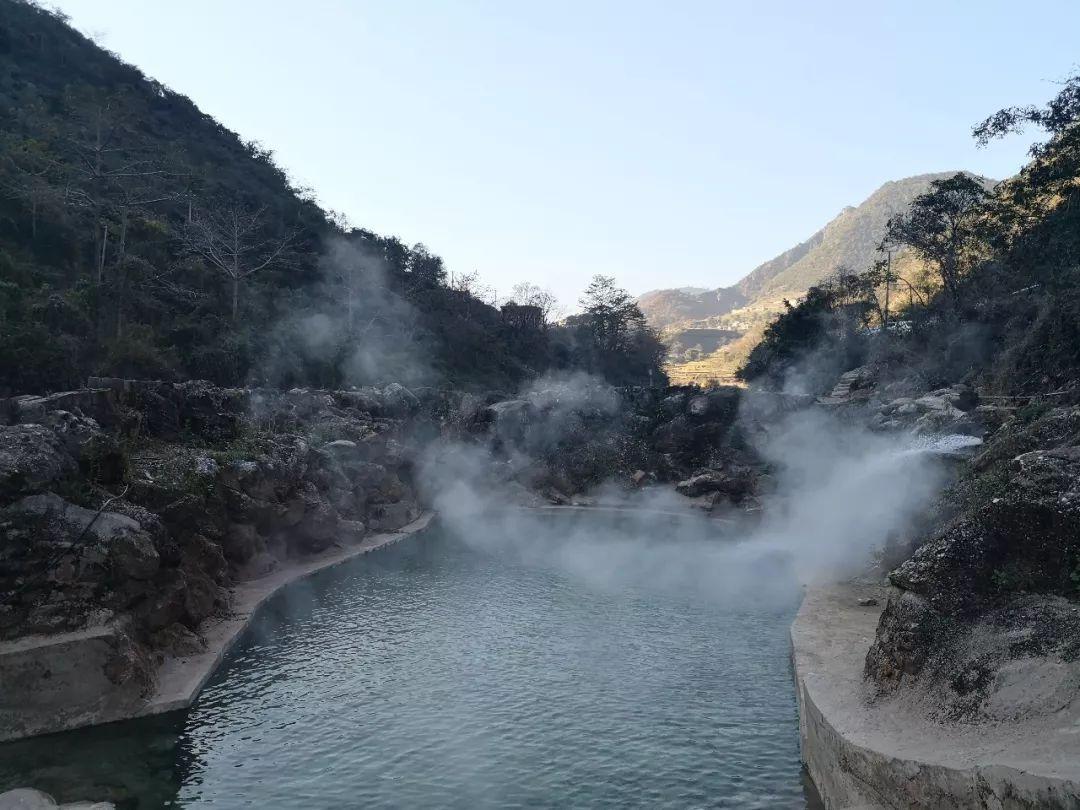 御龙在天